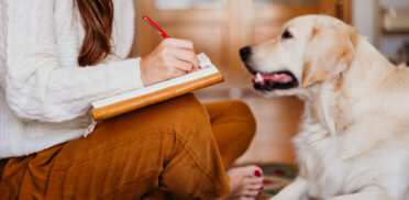 beautiful woman enjoying a cup of coffee during healthy breakfast at home. Writing on notebook. Adorable golden retriever dog besides. Lifestyle indoors