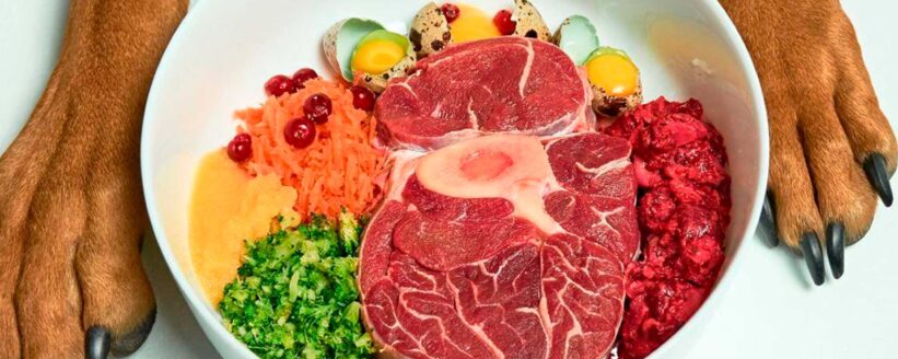 dieta-barf-para-perros